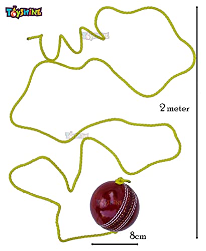 Toyshine SSTP Leather Hanging Cricket Ball for Shot Practice , Red