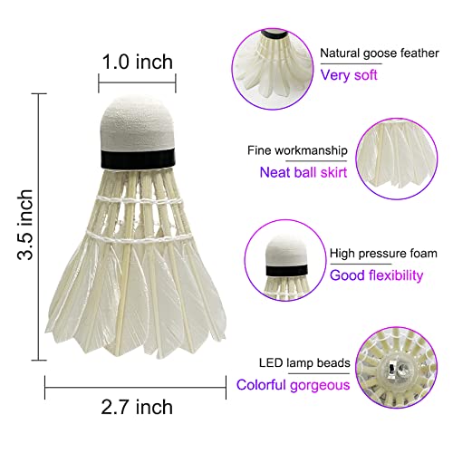 Types Of Racket Parts Of Badminton Racket And Shuttlecock