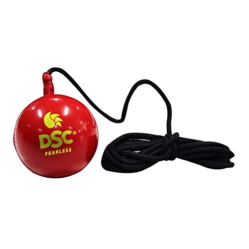 DSC Hanging Synthetic Cricket Ball (Red, Club Size)