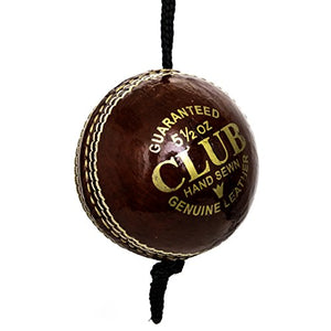 Pro Impact Cricket Balls (Leather Training with Cord (1 Ball))