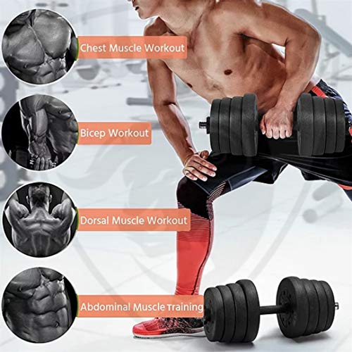 Bullar Fitness - Home Gym Equipments Store For Daily Workout