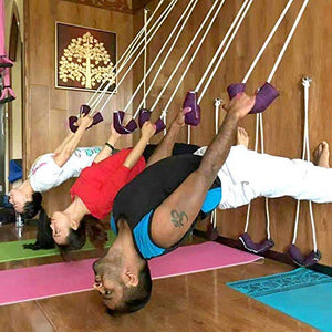 Fitsy Iyengar Yoga Anti-Gravity Wall Rope Full Set Auxiliary Training Sport Aerial Suspension Yoga Rope Cotton (Purple)