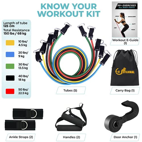 Image of Fit Mammal Resistance Band Set- Warranty for Life- Resistance Bands for Workout for Men & Women- Heavy Resistance Tube & Stretch Band for Exercise- 50+ Exercise Bands E-Book