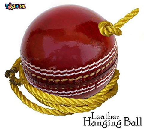 Image of Toyshine SSTP Leather Hanging Cricket Ball for Shot Practice , Red