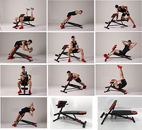 Kobo EB-1013 Steel Multi Function Imported 10 Exercises Adjustable Dumbbell Bench with Preacher Curl for Home Gym (Black/Red)