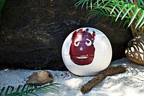 Image of Wilson Cast Away Volleyball (WTH4615)