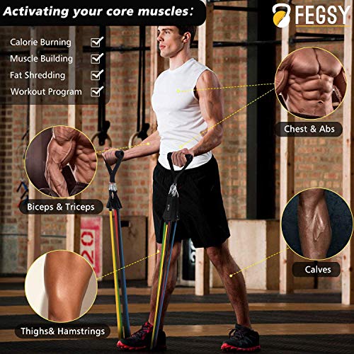 FEGSY Resistance Bands Set for Exercise, Stretching, and Workout Toning Tube Kit with Foam Handles, Door Anchor, Ankle Strap, and Carrying Bag for Men, Women