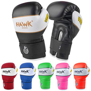 Hawk Sports Kids Boxing Gloves for Kids Children Youth Punching Bag Kickboxing Muay Thai Mitts MMA Training Sparring Gloves (Black, 6 oz)