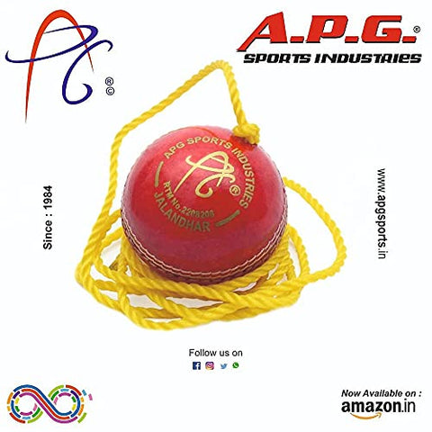 Image of APG String Ball Leather Hanging Cricket Ball , 7 ft, (Red)