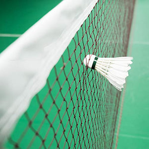 Raisco 716F Nylon Special Four Side Tape Badminton Net (Brown)