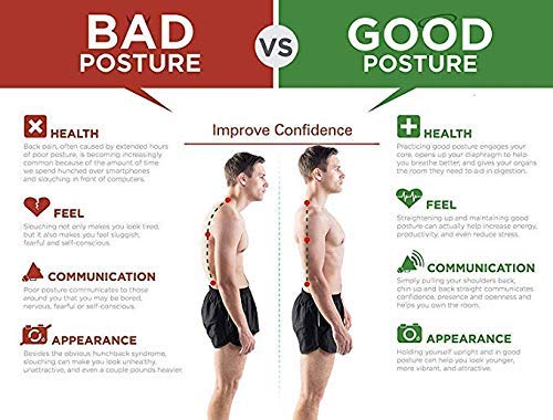 Evrum Posture Corrector Shoulder Magnetic Back Support Belt Posture Corrector Therapy Shoulder Belt for Upper Back Pain Relief for Men and Women (Magnetic)