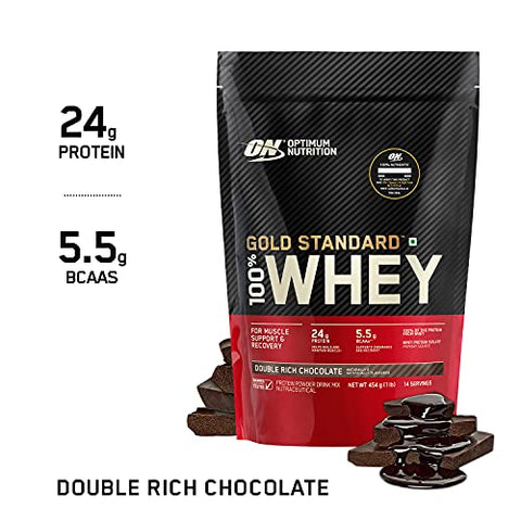Image of Optimum Nutrition (ON) Gold Standard 100% Whey Protein Powder 1 lbs, 454 g (Double Rich Chocolate), for Muscle Support & Recovery, Vegetarian - Primary Source Whey Isolate