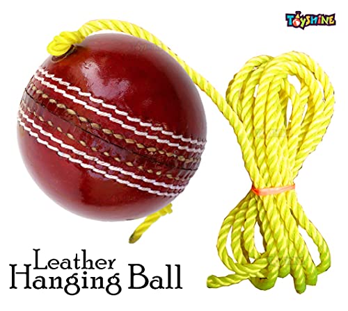 Toyshine SSTP Leather Hanging Cricket Ball for Shot Practice , Red