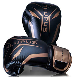 Liberlupus Cool Style Boxing Gloves for Men & Women, Boxing Training Gloves, Kickboxing Gloves, Sparring Gloves, Heavy Bag Gloves for Boxing, Kickboxing, Muay Thai, MMA(Black & Golden, 12 oz)