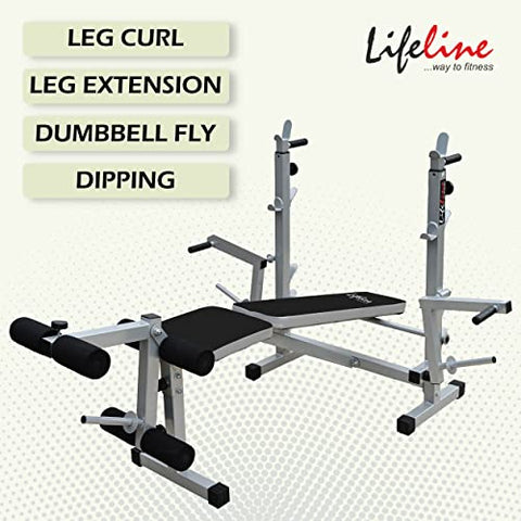Image of Lifeline HG-005 Multi Home Gym Machine with Preacher Attachment and LB-309 Multi Adjustable (Incline, Flat & Decline) Bench with Leg Curl/Extension and Dumbbell Fly
