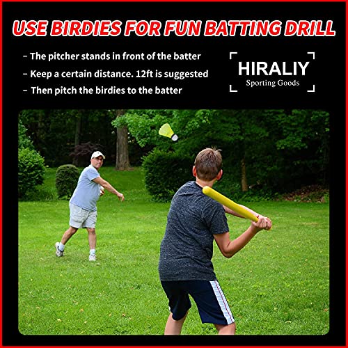 HIRALIY 24 Pack Nylon Badminton Shuttlecocks Birdies, Baseball/Softball Batting Training High Speed Badminton Balls with Stable & Durable, Ideal Hitting Practice for Youth Players Indoor and Outdoor