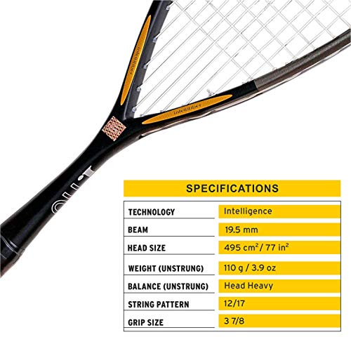 HEAD I.110 Aluminum Squash Racquet (Black-Grey)