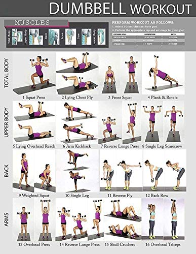 Arm Workout Back Workout With Dumbbells Female Dumbbell Upper Back