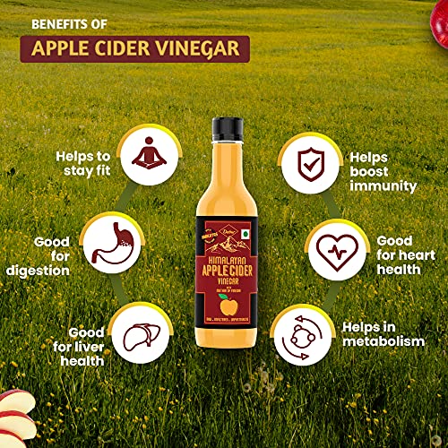 Dabur Himalayan Apple Cider Vinegar with Mother of Vinegar | Raw , Unfiltered , Unpasteurized - 500 ml
