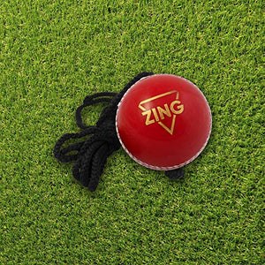 TAURO Zing Synthetic Cricket Ball, (Red)