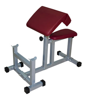 Lifeline Fitness Arm Curl Bench for Home/ Gym Exercise IF 7113